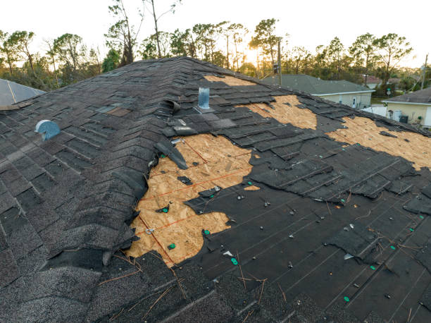 Best Skylight Installation and Repair  in New Carlisle, IN