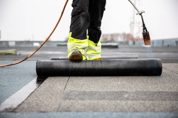 Best Flat Roofing  in New Carlisle, IN