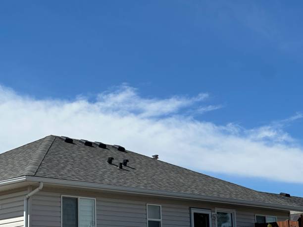 Best 4 Ply Roofing  in New Carlisle, IN